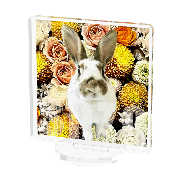 アクリルフィギュア - 50x50mm