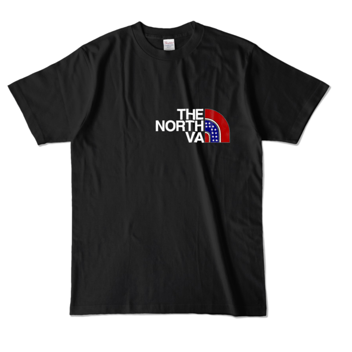 カラーTシャツ - L - ブラック (濃色)