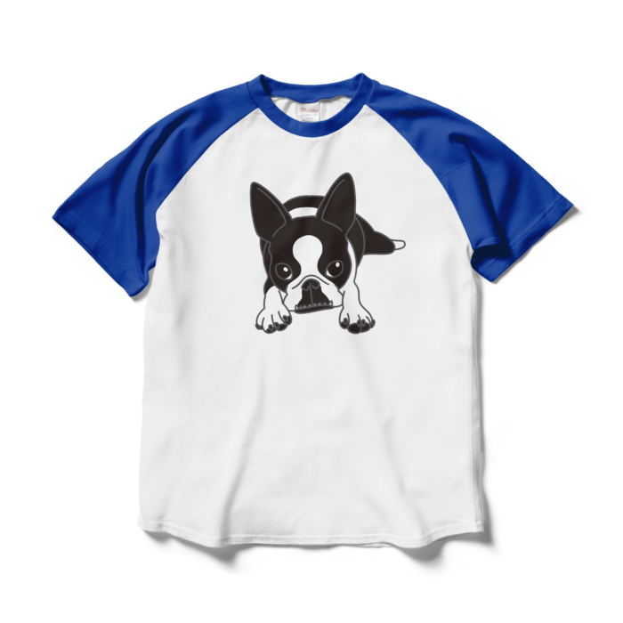 ラグランTシャツ - L - ホワイト×ロイヤルブルー