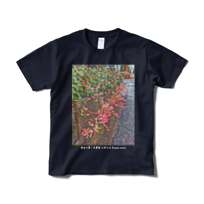 黄金の華 朱鷺茜 小判の木 Breynia nivosa Tシャツ - S - ネイビー