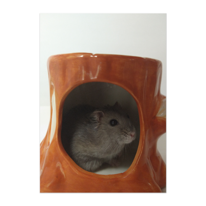 №2