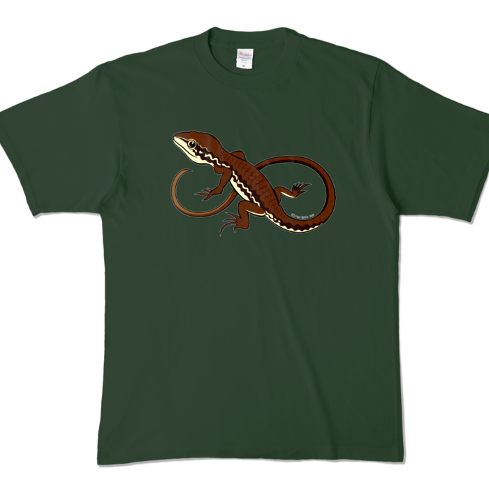 カラーTシャツ - XL - フォレスト (濃色)