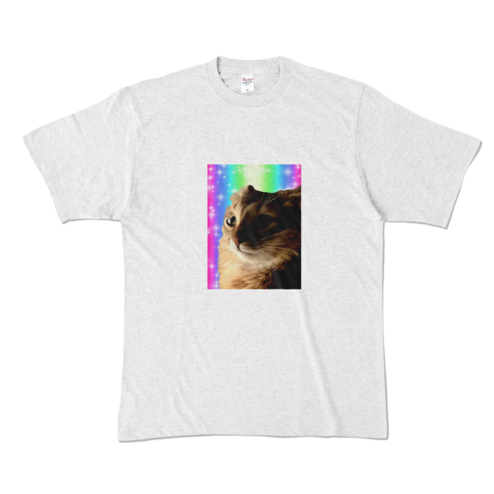 カラーTシャツ - XL - アッシュ (淡色)