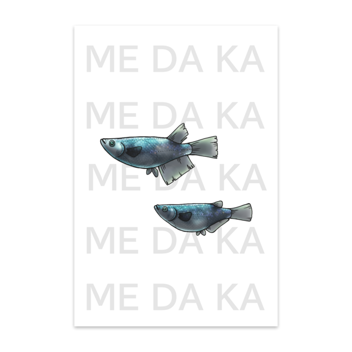 夜桜　(10枚組) - マットコート220kg(9)