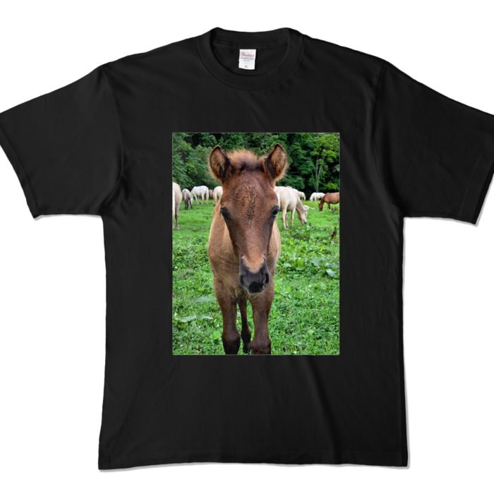 カラーTシャツ - XL - ブラック (濃色)