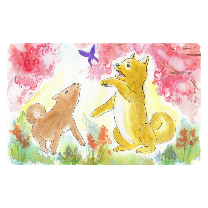 ICカードステッカー - 約85.7x53.9(mm)