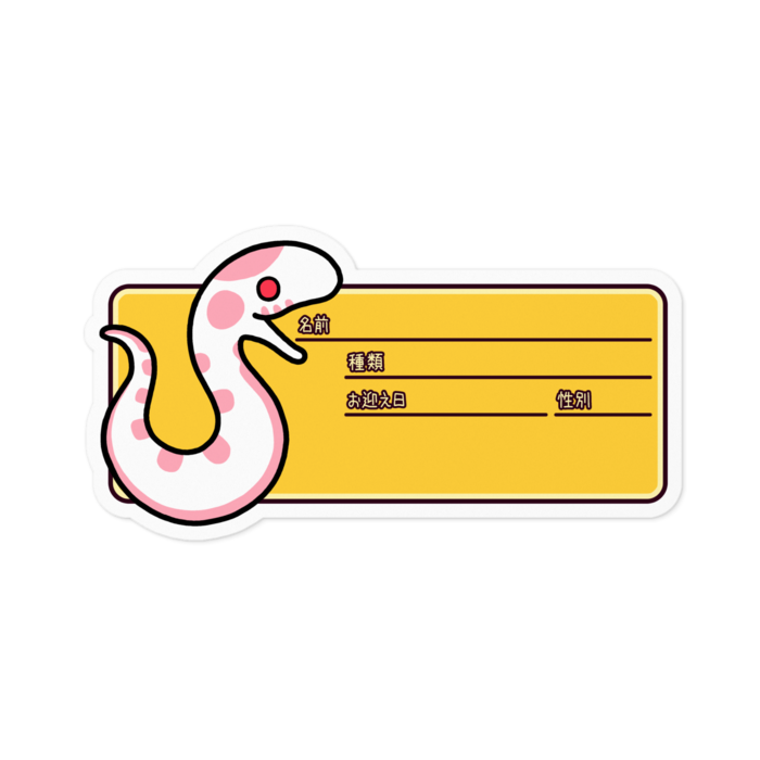 アルビノハイホワイト(お腹)