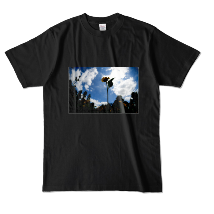 カラーTシャツ - L - ブラック (濃色)