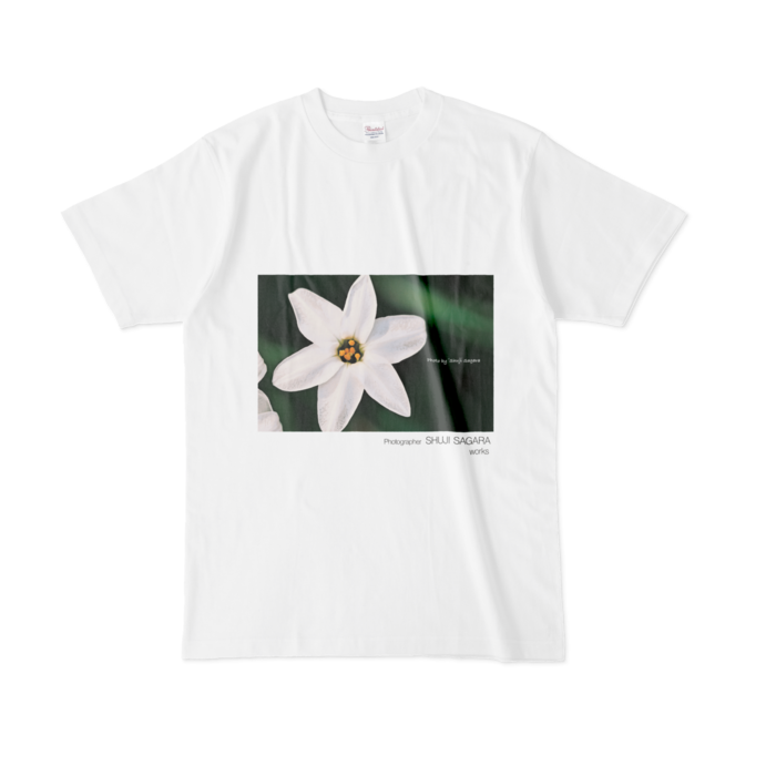 Tシャツ - L - 白