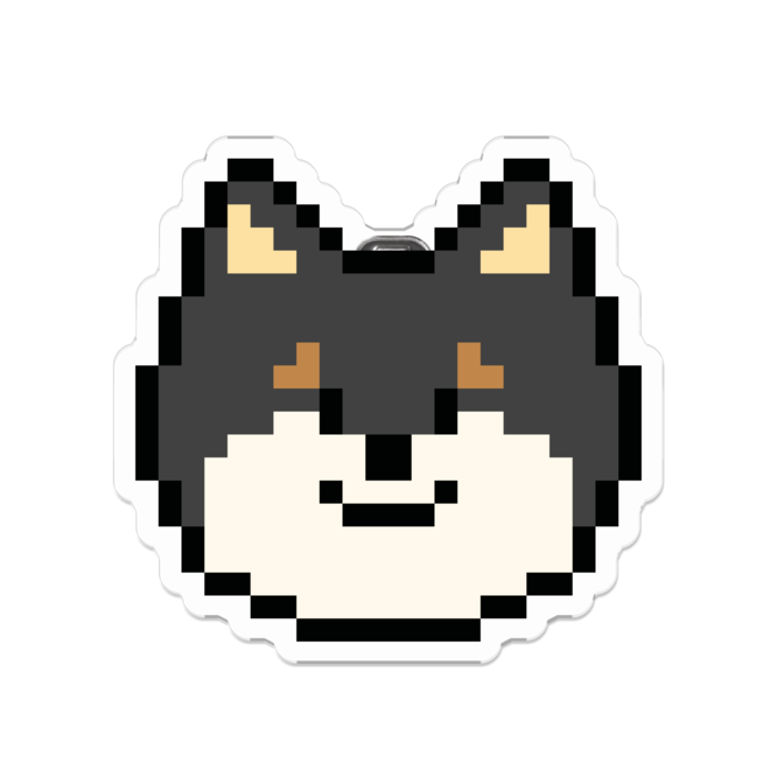 黒柴