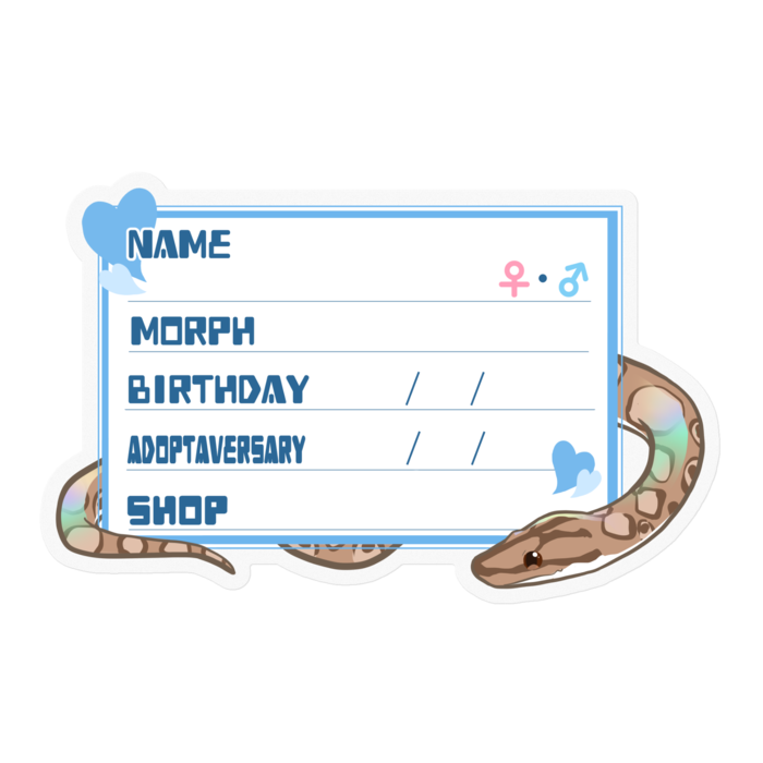 【🐍お名前ステッカー】コロニジ(ノーマル) ‐ハート／ブルー(英語)