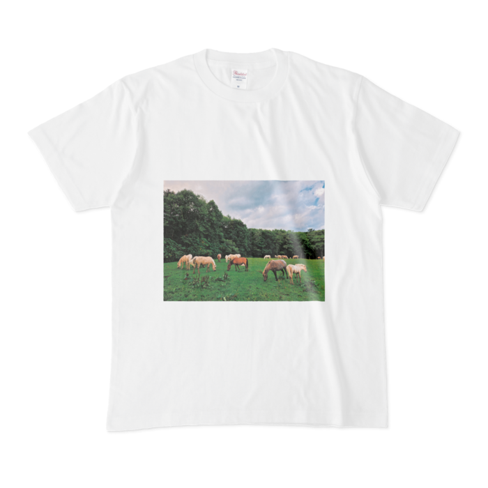 Tシャツ - M - 白