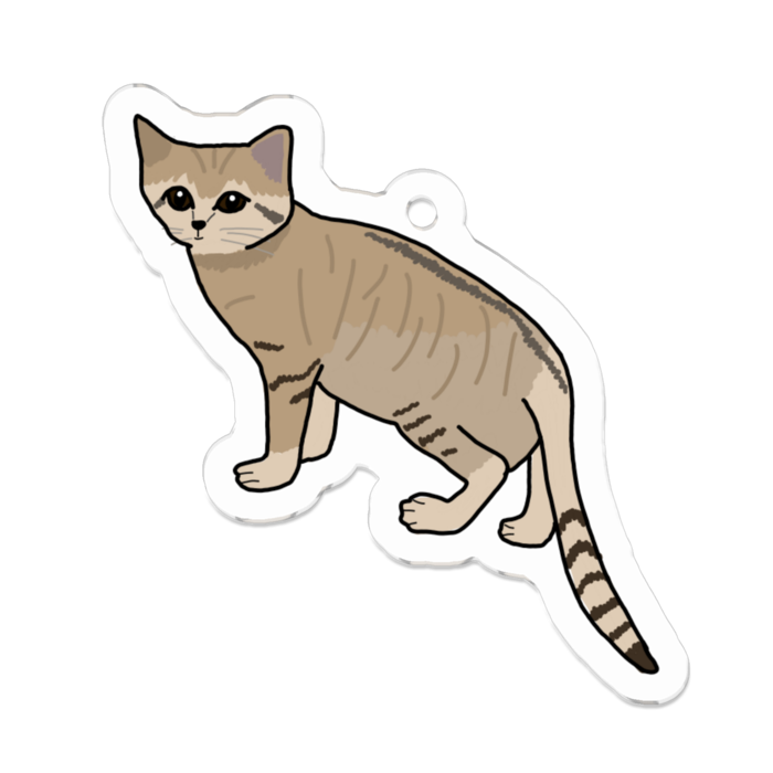 すなねこ