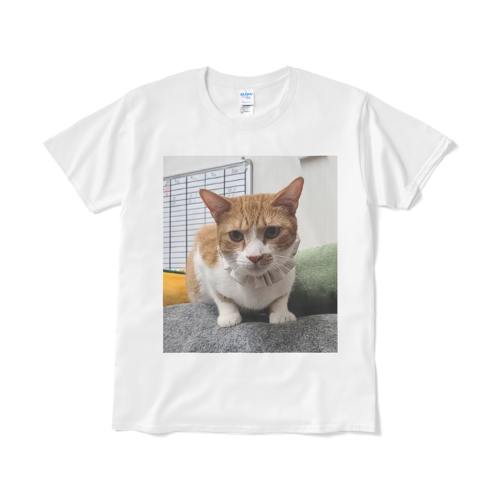 Tシャツ(短納期) - L - ホワイト