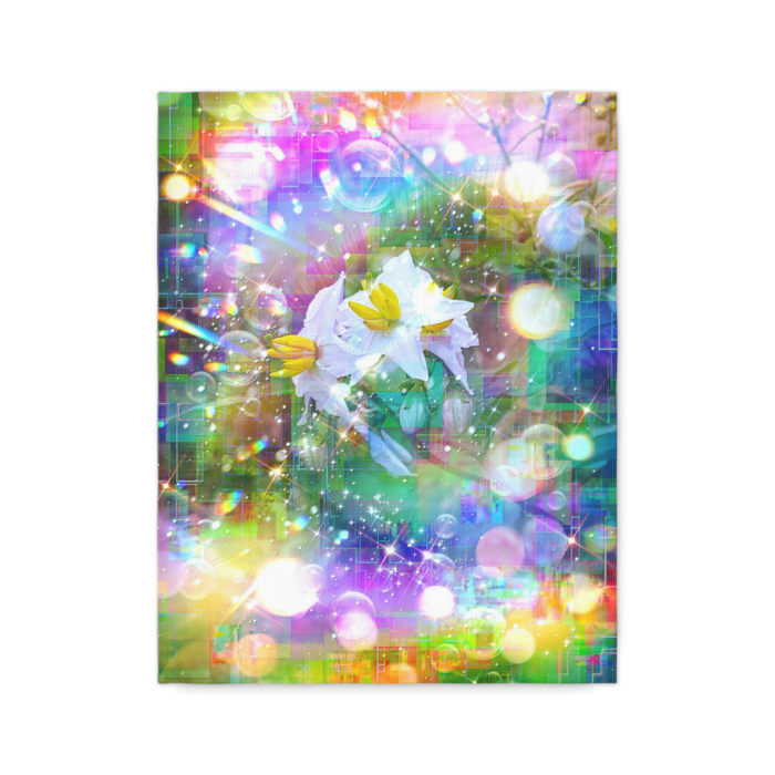 キャンバス - F6