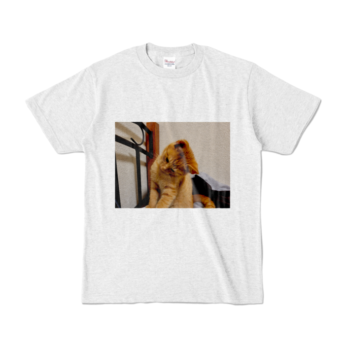 カラーTシャツ - S - アッシュ (淡色)