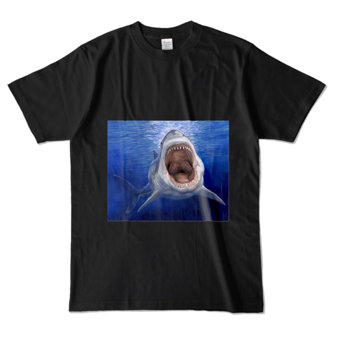 カラーTシャツ - L - ブラック (濃色)