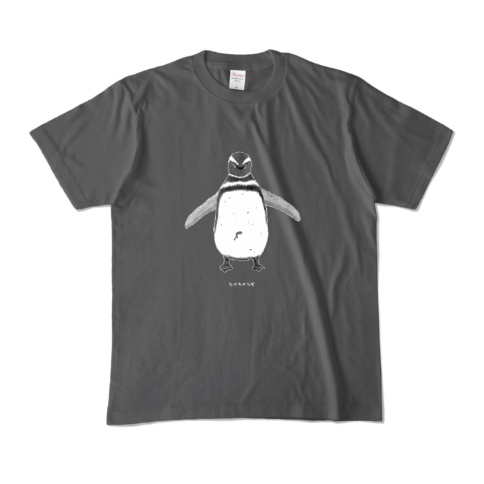 カラーTシャツ - M - チャコール (濃色)