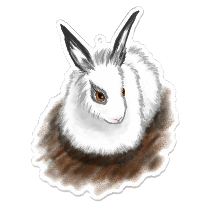 アクリルキーホルダー - 100 x 100 (mm)