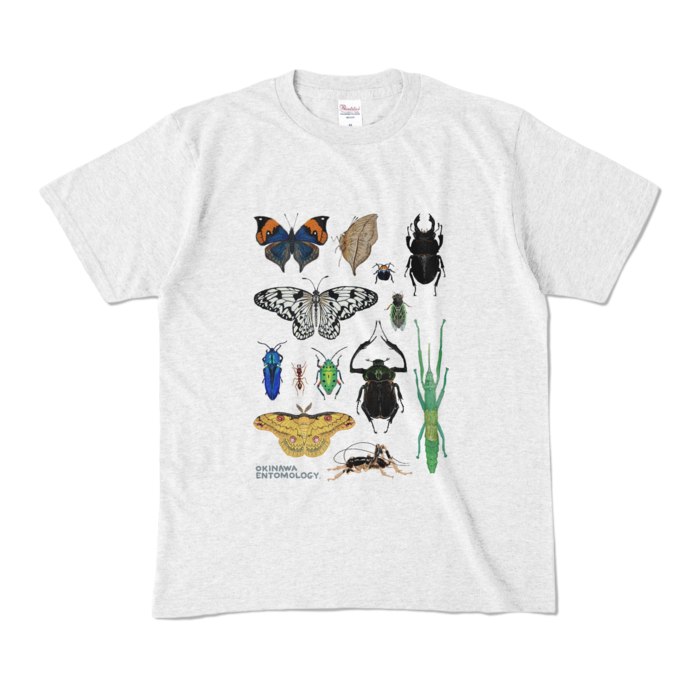 カラーTシャツ - M - アッシュ (淡色)