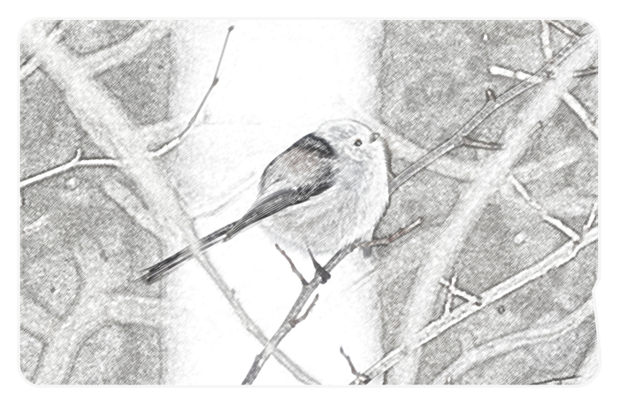 ICカードステッカー - 約85.7x53.9(mm)