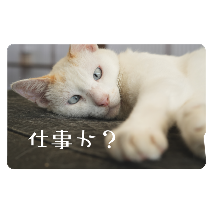 ICカードステッカー - 約85.7x53.9(mm)