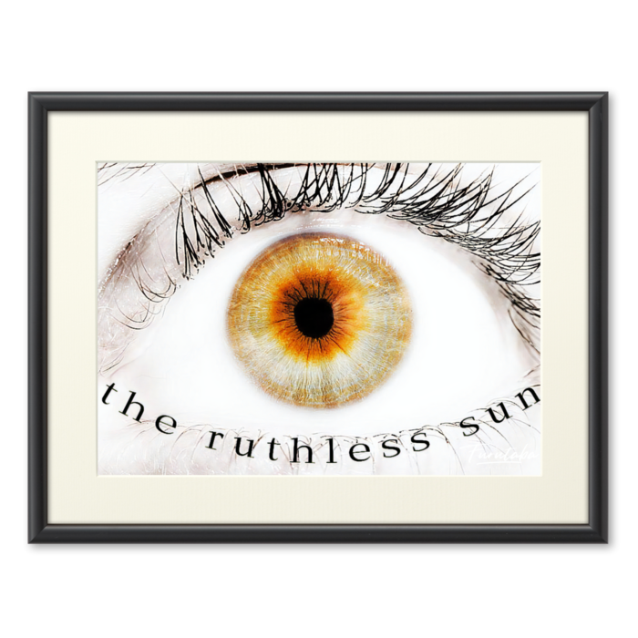 複製画(プリモアート) - A4