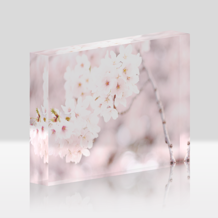 背面クリア
