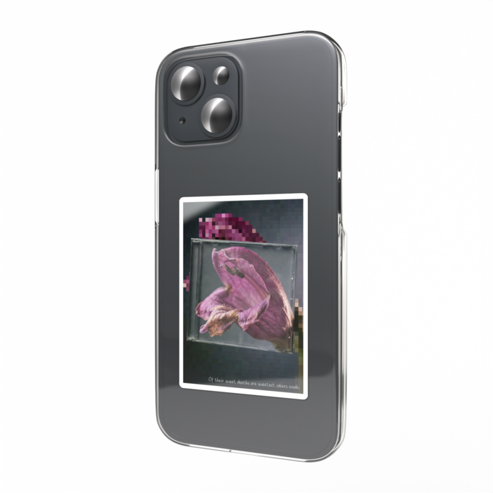 12: Chelolonopsis moschata (ジャコウソウ)