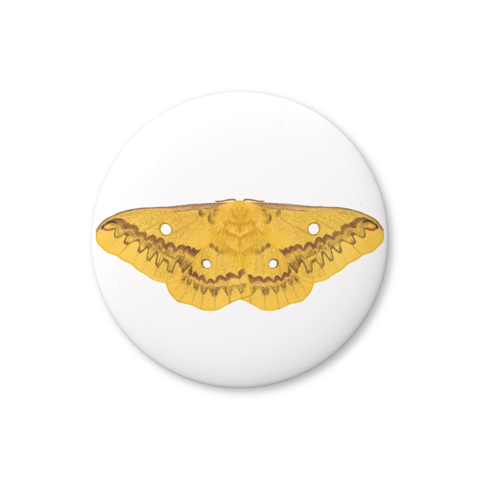 缶バッジ（バリュー） - 25mm