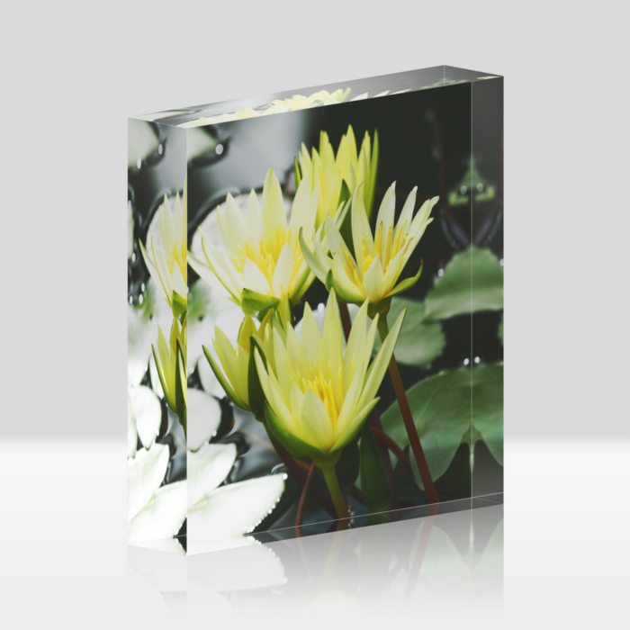 アクリルブロック - 100x100mm