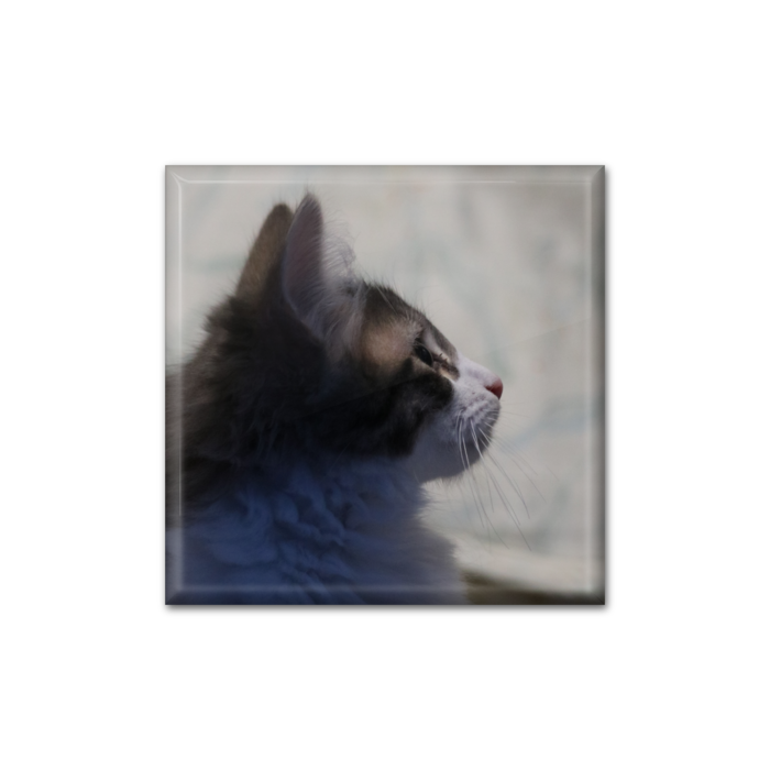 缶バッジ - 四角形40mm