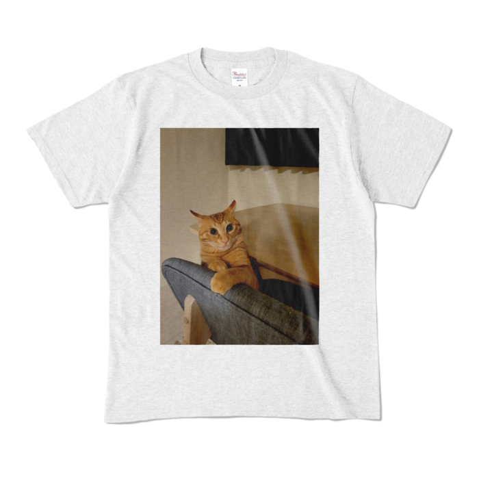 カラーTシャツ - M - アッシュ (淡色)