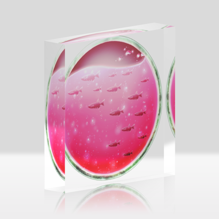 クリア 100x100mm
