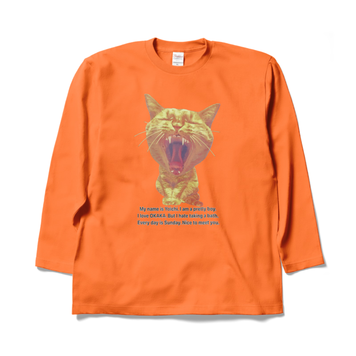 ロングスリーブTシャツ - XL - オレンジ