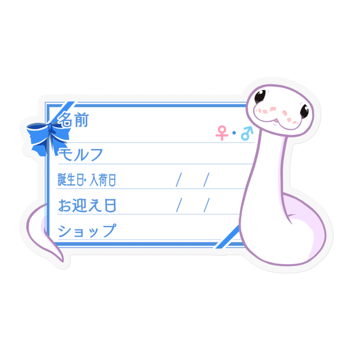 【🐍お名前ステッカー】ボールパイソン(スーパーファイア) ‐リボン/ブルー