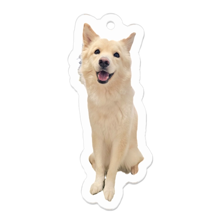 アクリルキーホルダー（コーティング） - 50 x 50 (mm)