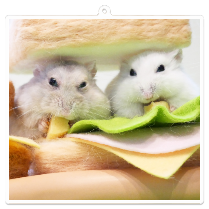 アクリルキーホルダー - 100 x 100 (mm)(1)