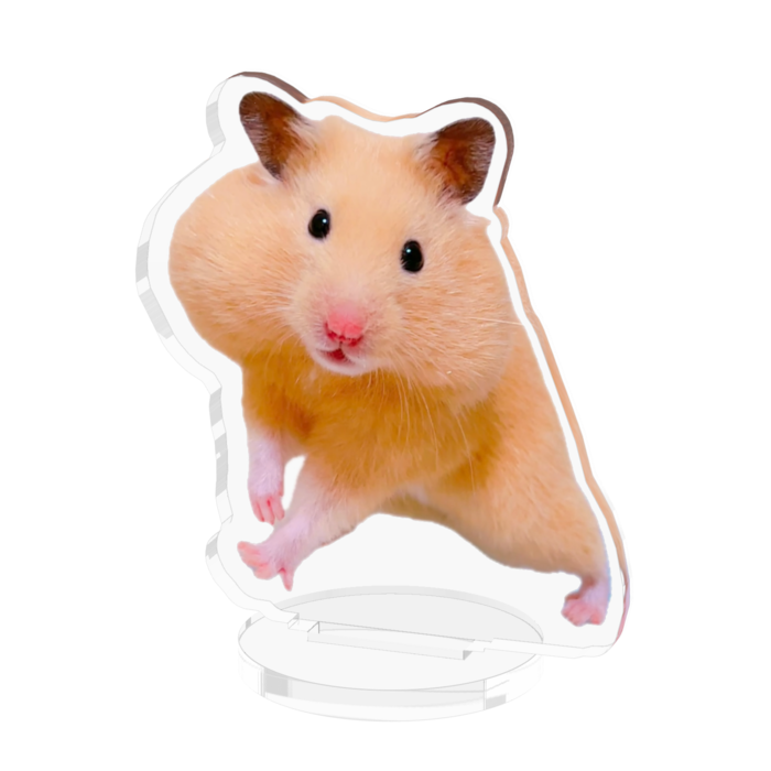 アクリルフィギュア - 50x50mm