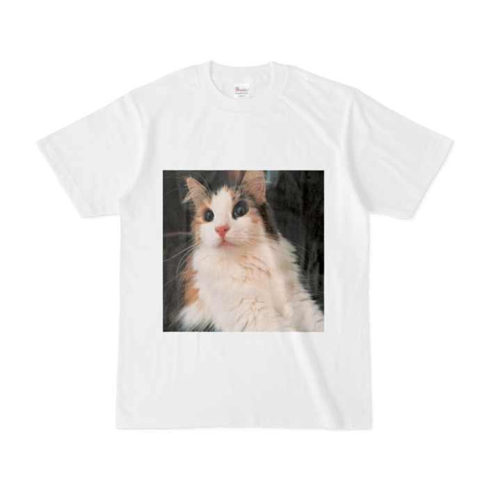 Tシャツ - S - 白