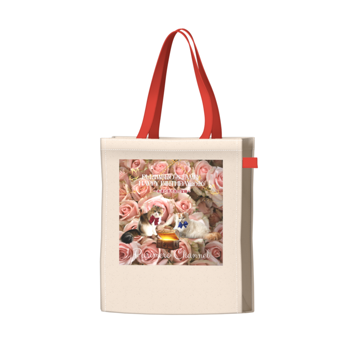 ツートンカラーバッグ - レッド - W34 × H41 × D14cm