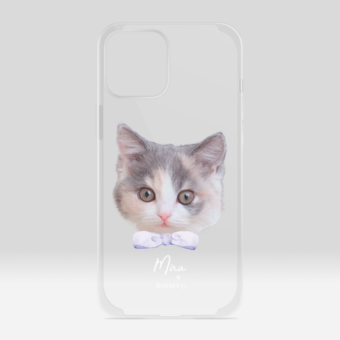 クリアiPhoneケース - iPhone12 ProMax