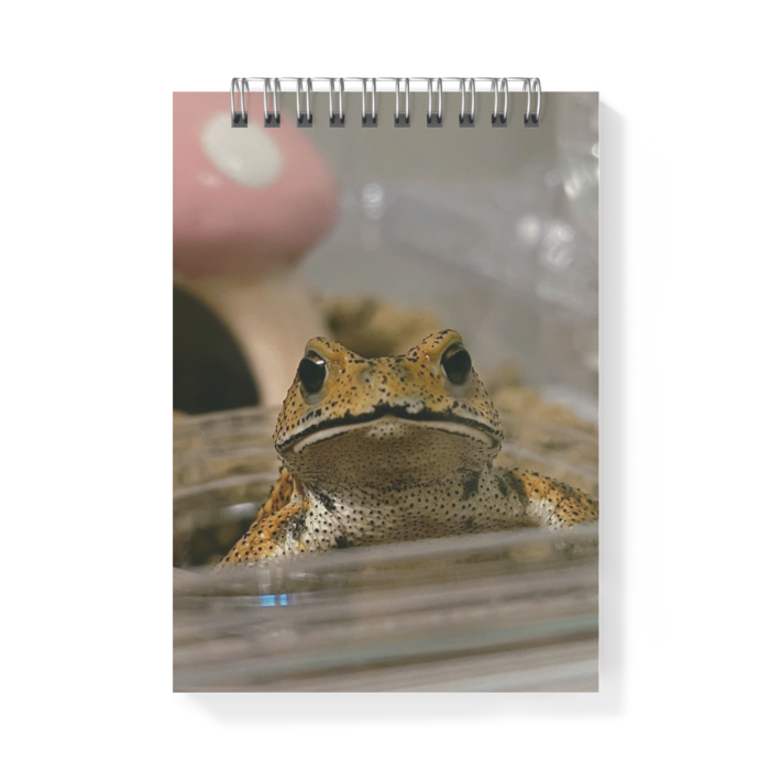 メモ帳 - A6 - 片面