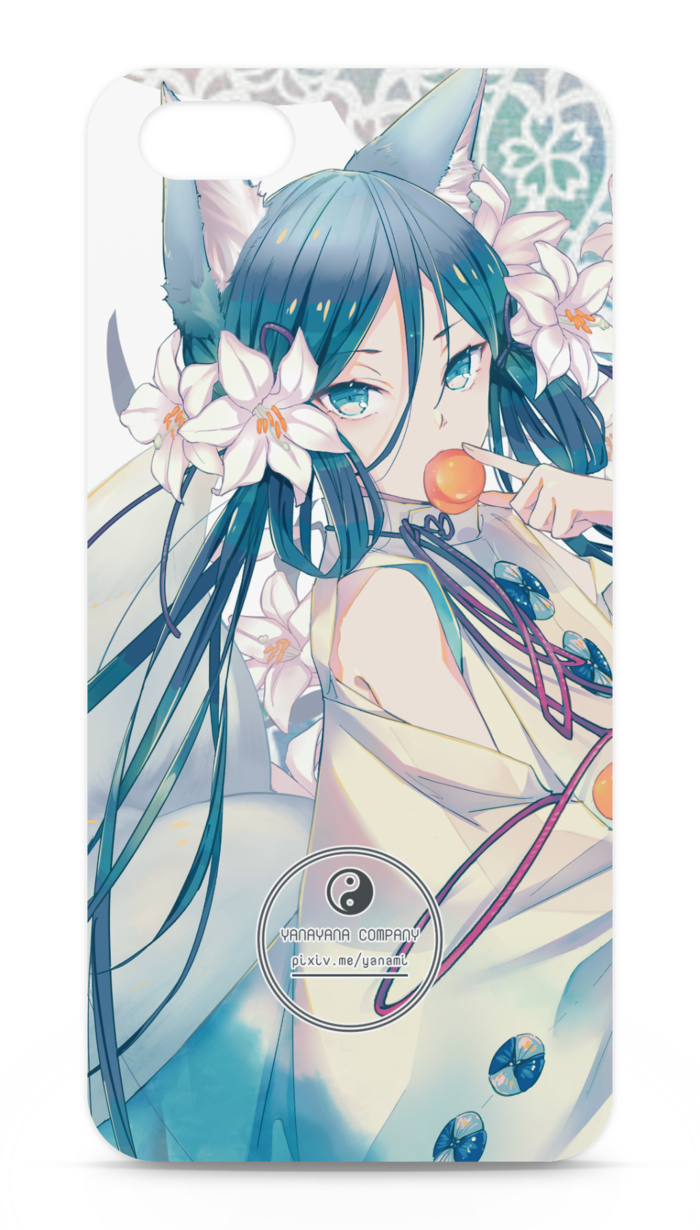 iPhone 5 / 5s / SE