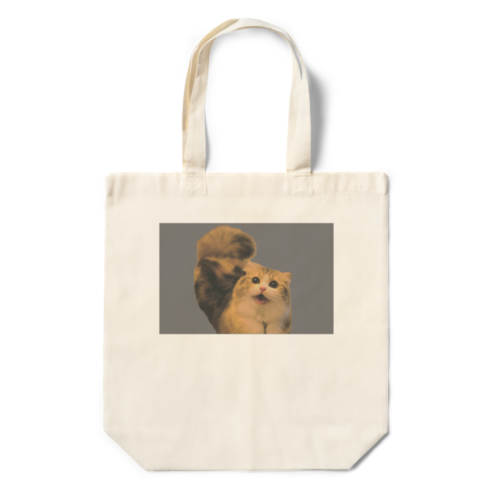 エコバッグ - 360×370×110(mm)