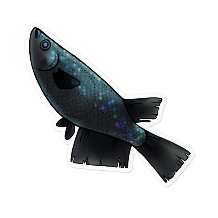 ブラックダイヤ　ー　ホワイト／100 x 100㍉