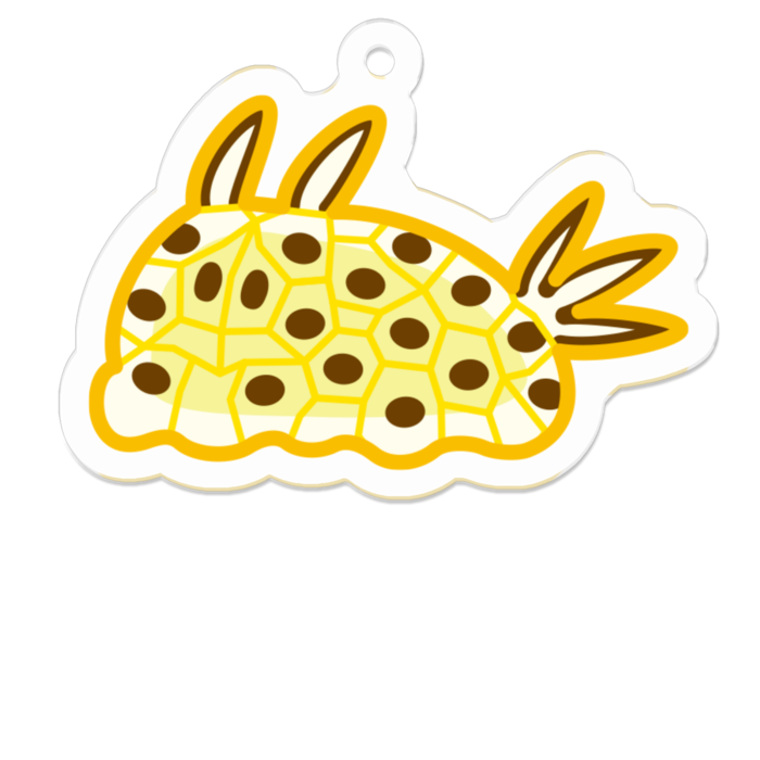 テンテンウミウシ