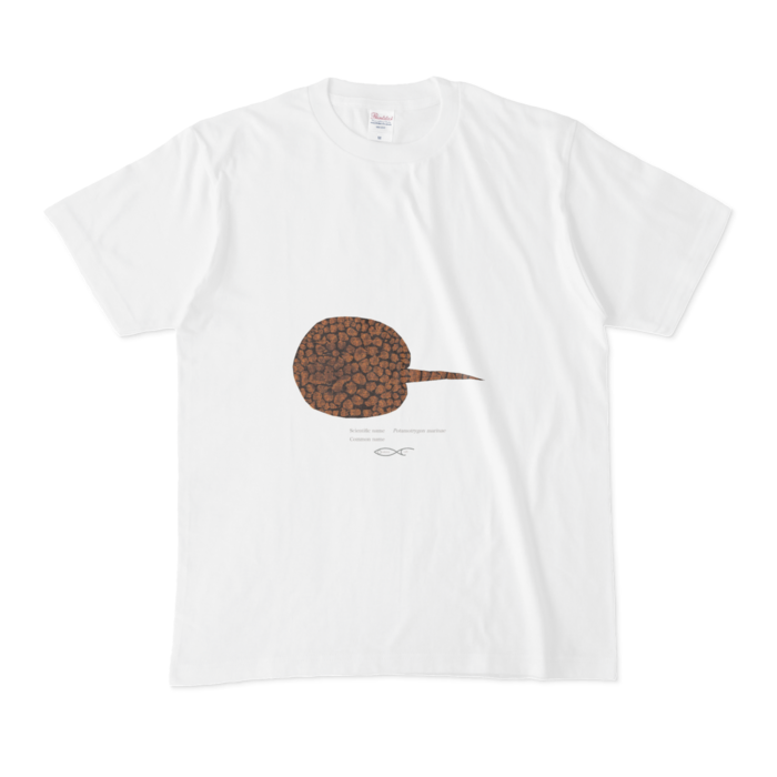 Tシャツ - M - 白
