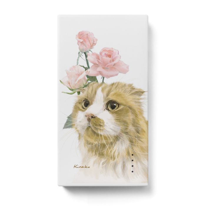 モバイルバッテリー - 123 x 65 (mm)