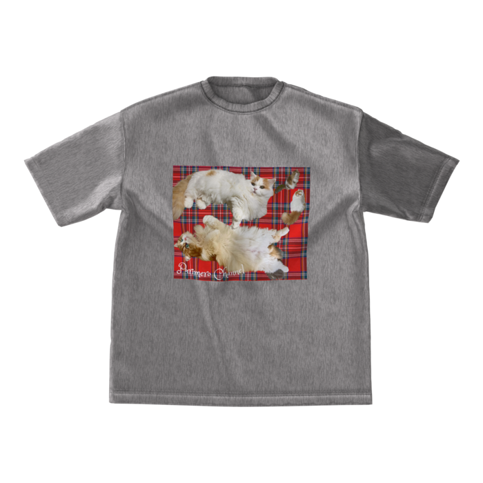 ビッグシルエットTシャツ - M - 両面(2)
